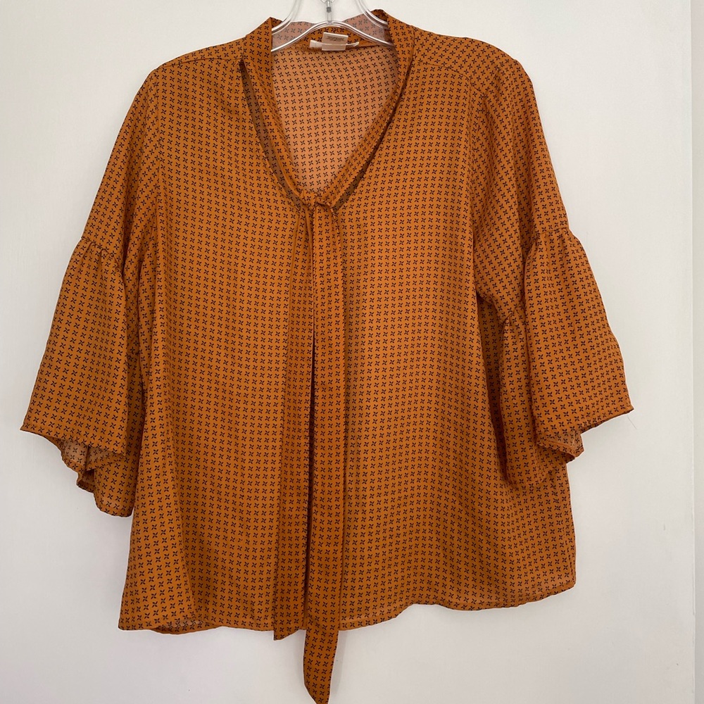 Burnt Orange Top with Wide Sleeves